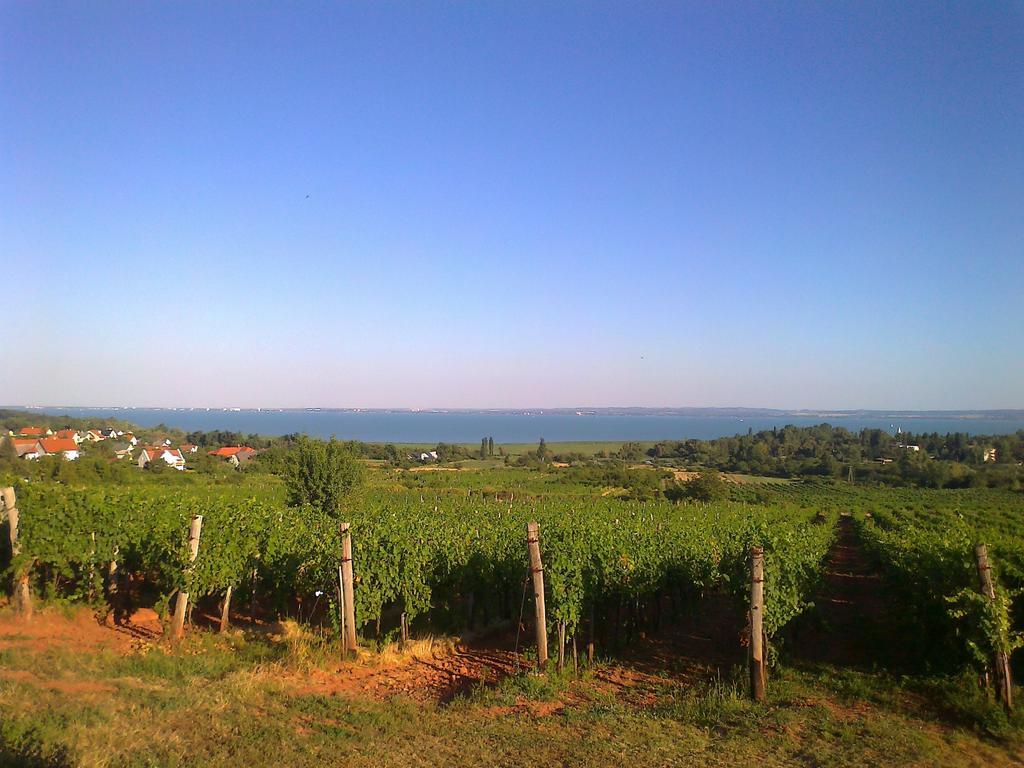 פלוזנק Country House Balaton מראה חיצוני תמונה
