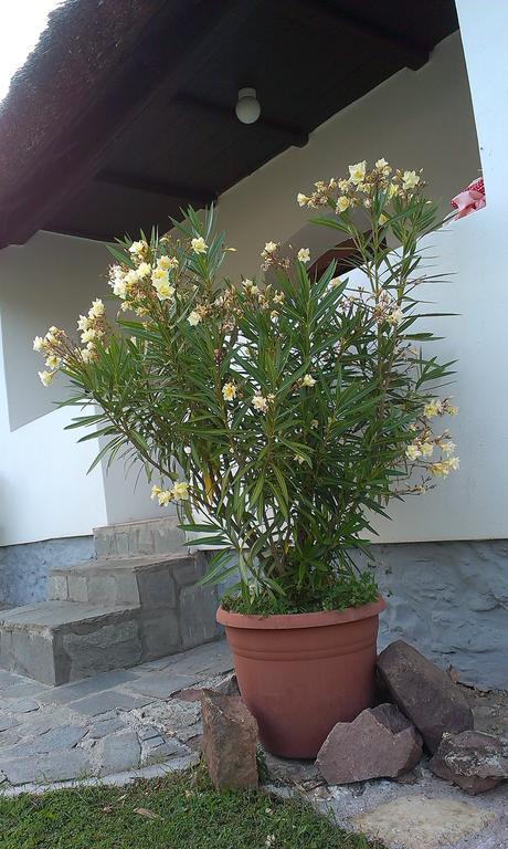 פלוזנק Country House Balaton מראה חיצוני תמונה