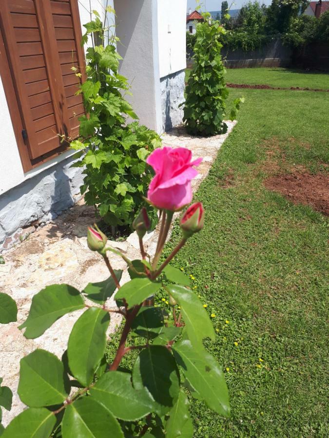 פלוזנק Country House Balaton מראה חיצוני תמונה
